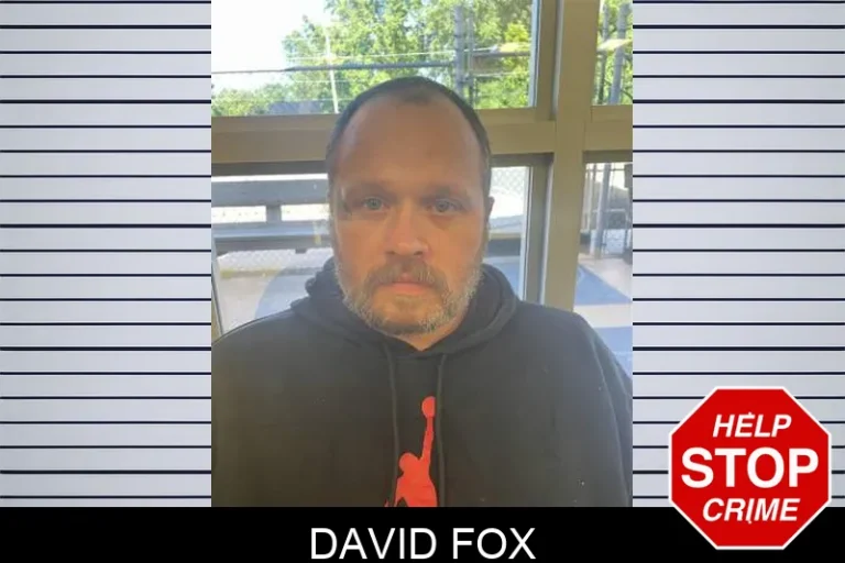 David Fox