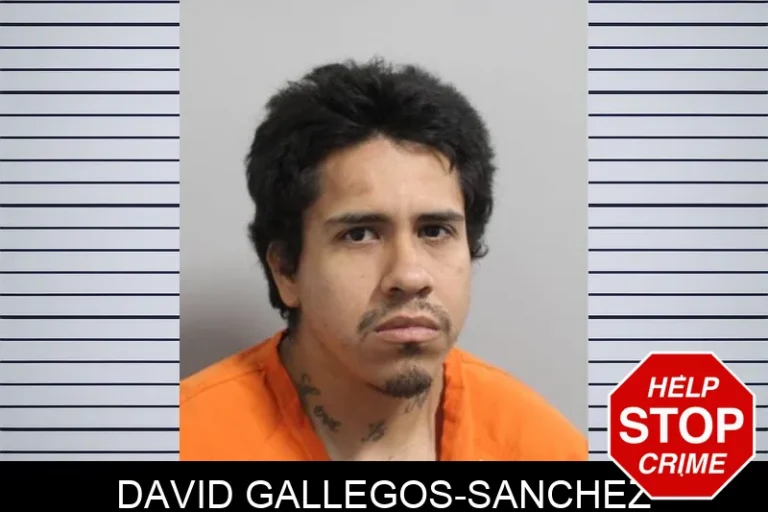 David Gallegos-Sanchez
