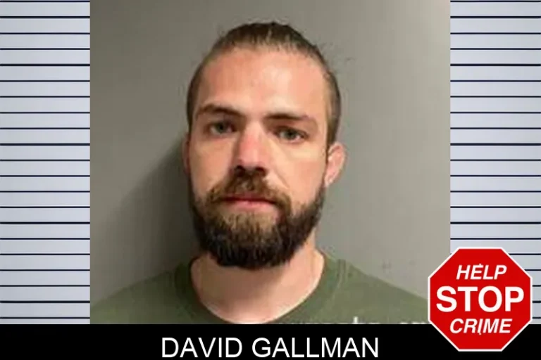 David Gallman