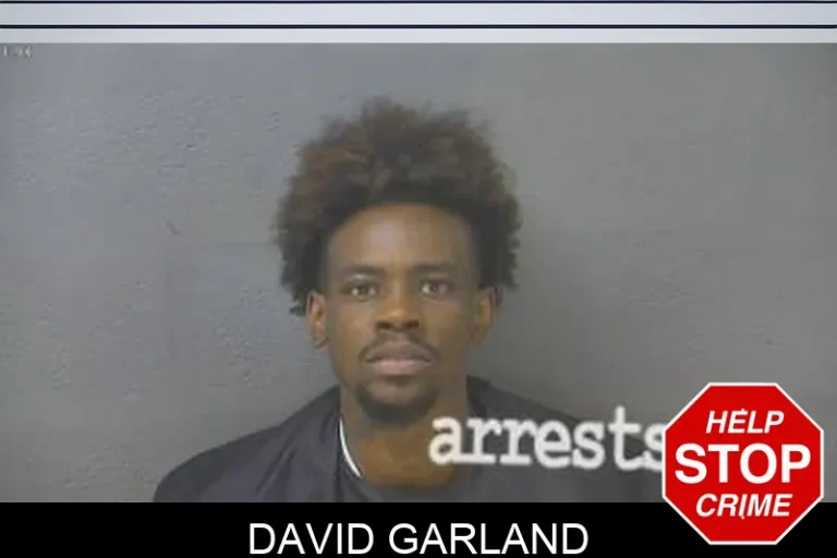 David Garland