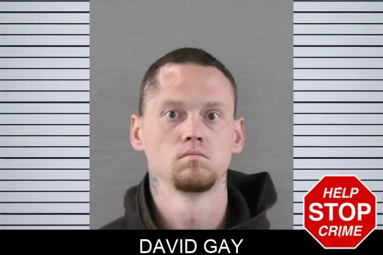 David Gay