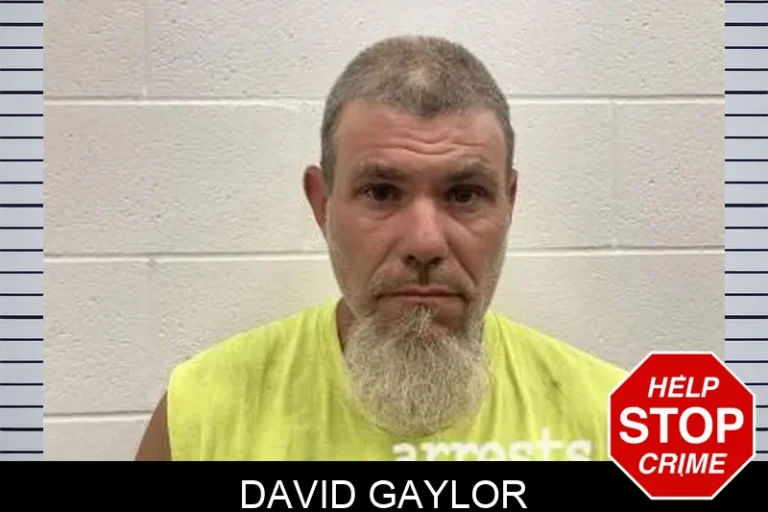 David Gaylor