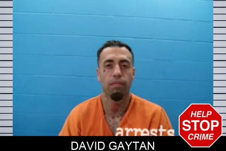 David Gaytan