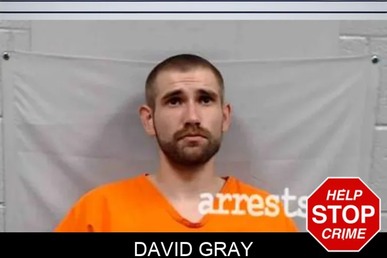 David Gray