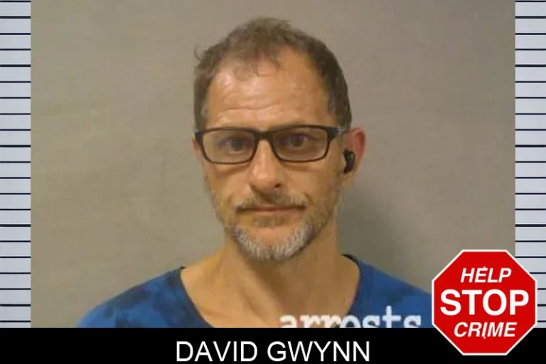 David Gwynn