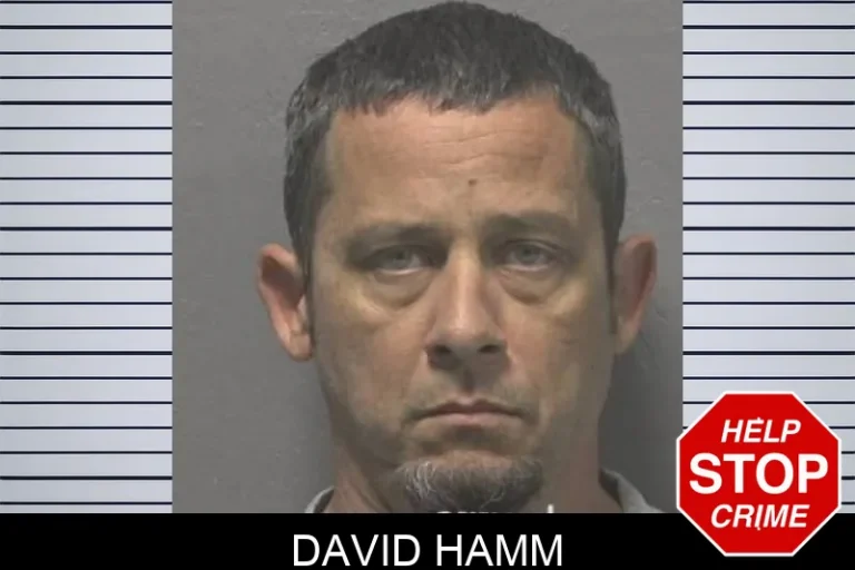 David Hamm