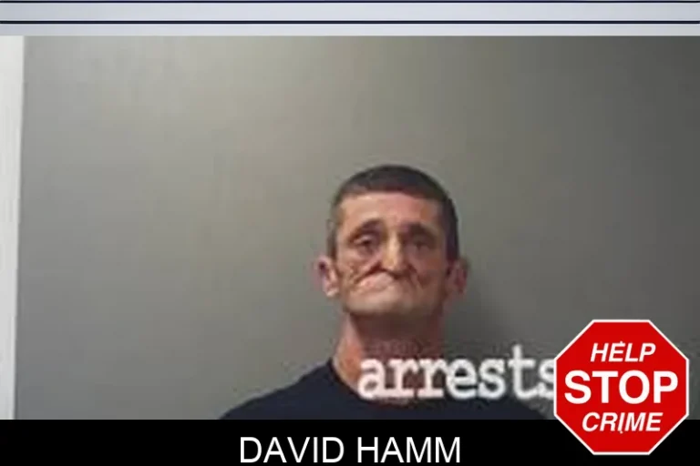David Hamm