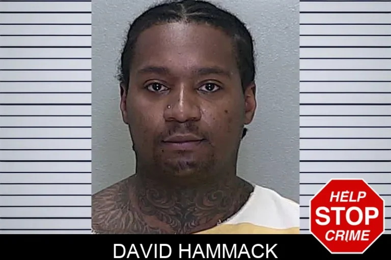 David Hammack