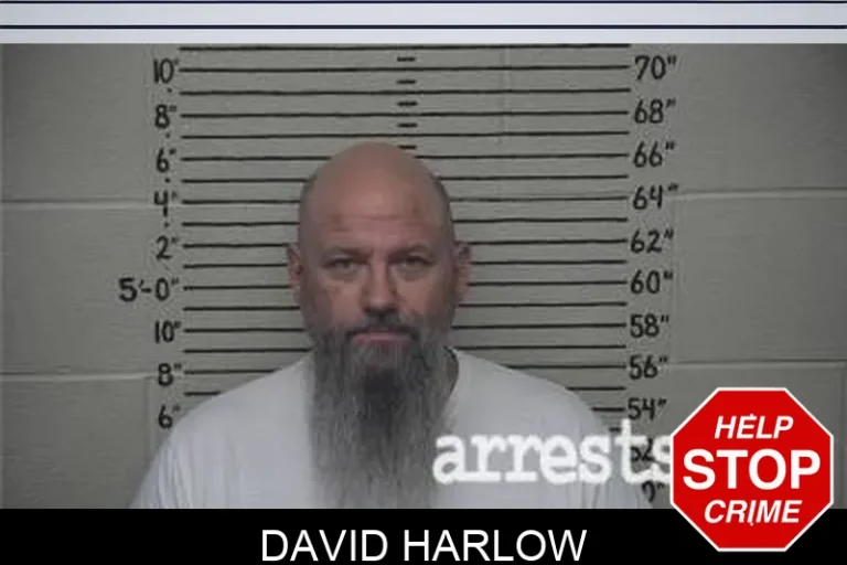David Harlow