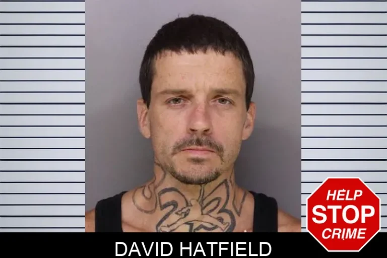 David Hatfield