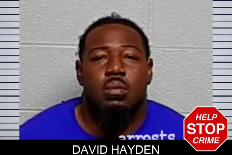 David Hayden