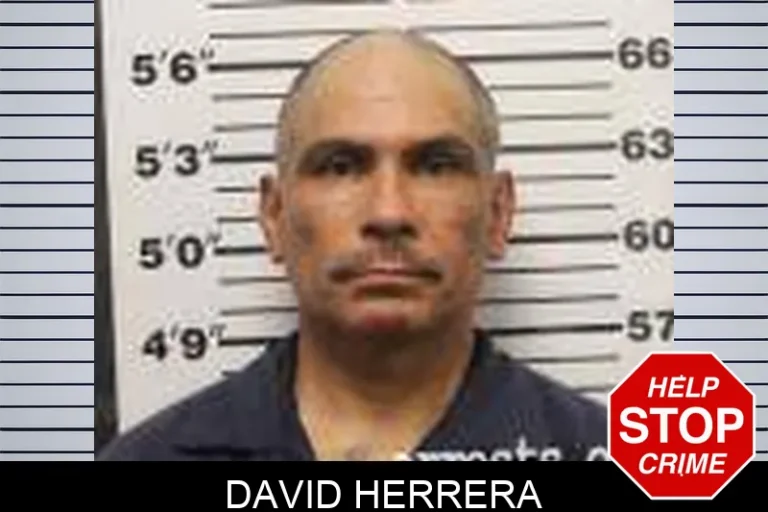 David Herrera