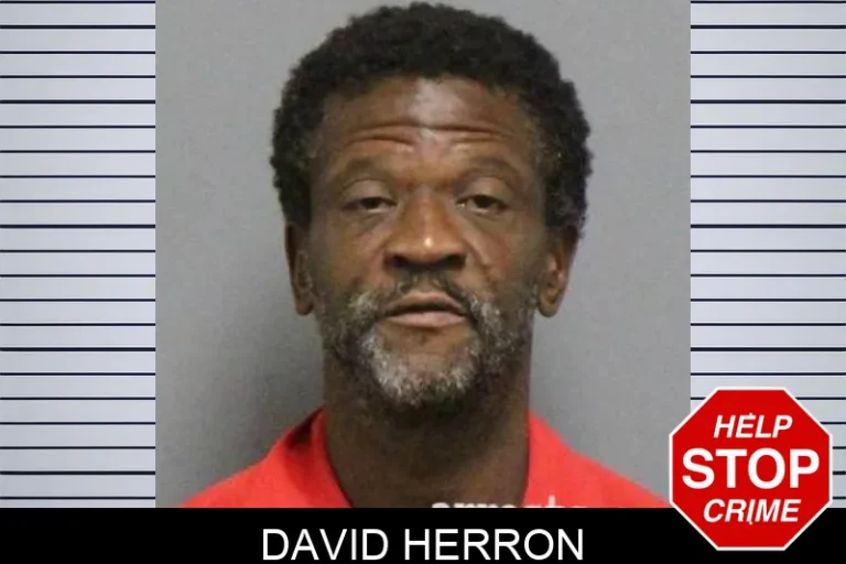 David Herron