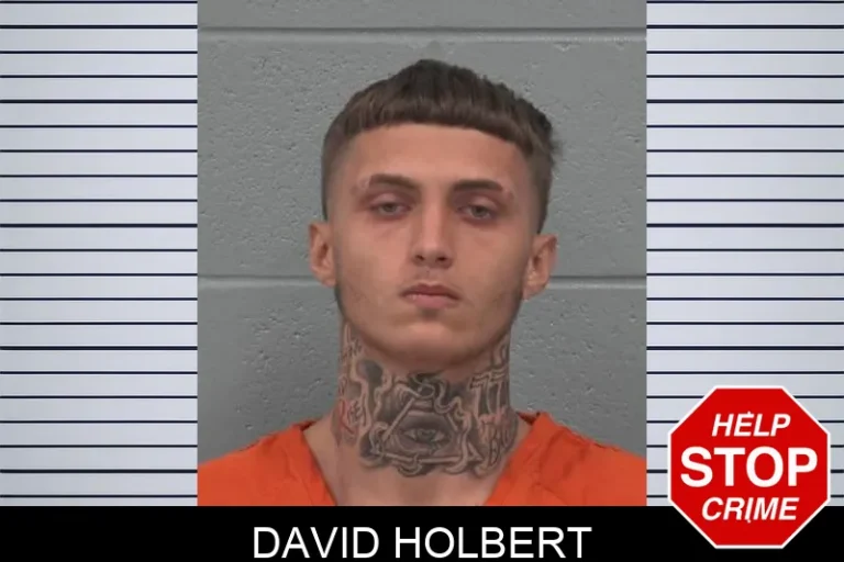 David Holbert