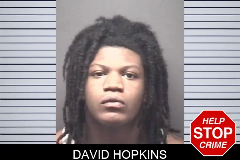 David Hopkins