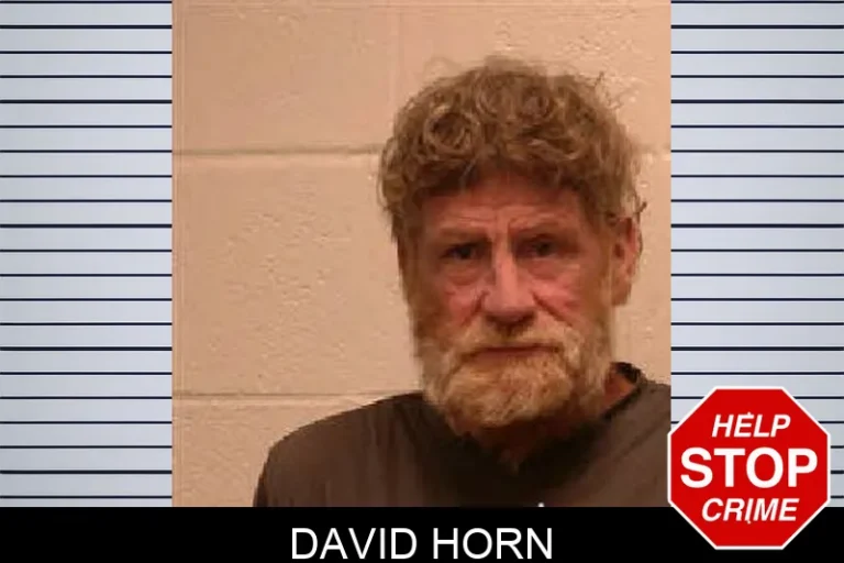 David Horn
