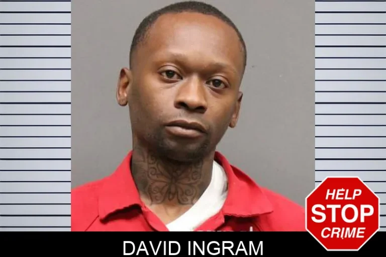David Ingram
