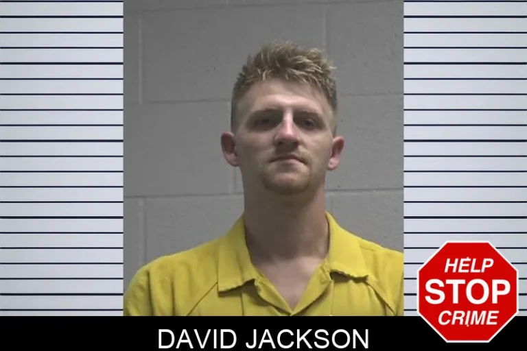 David Jackson