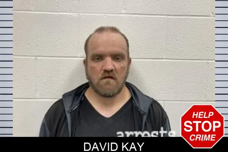 David Kay