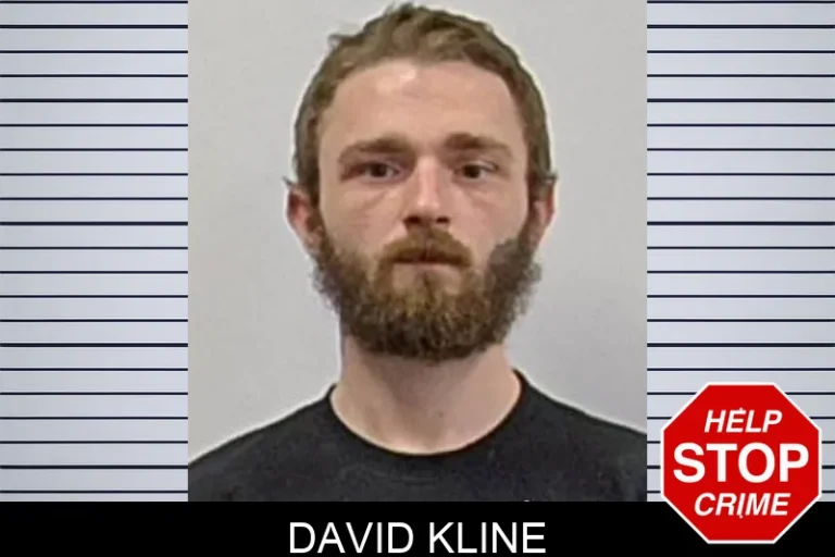 David Kline