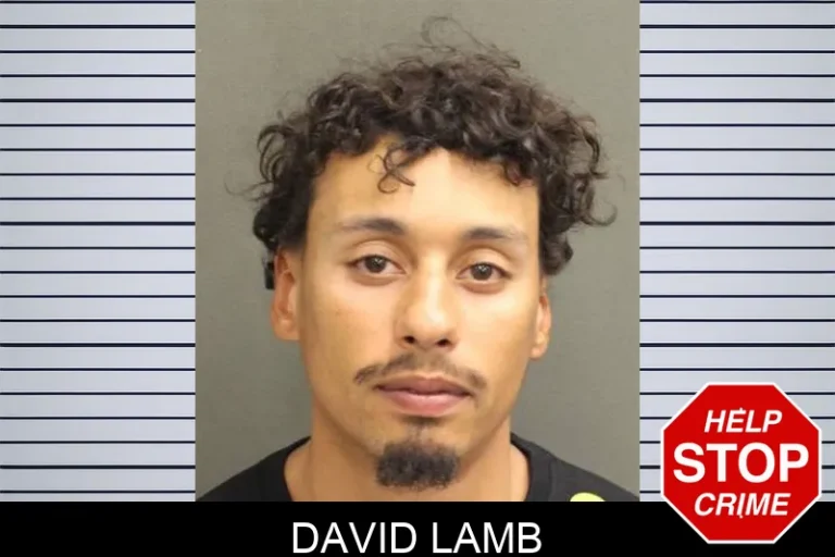 David Lamb