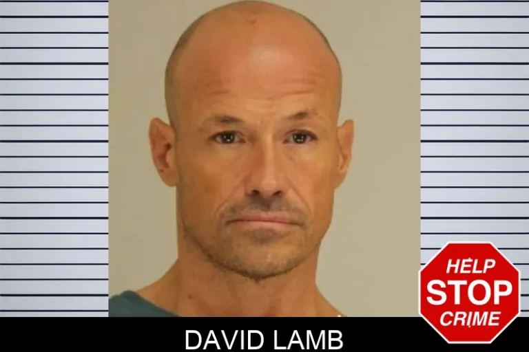 David Lamb