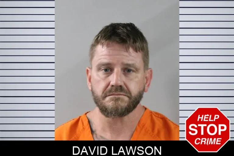 David Lawson