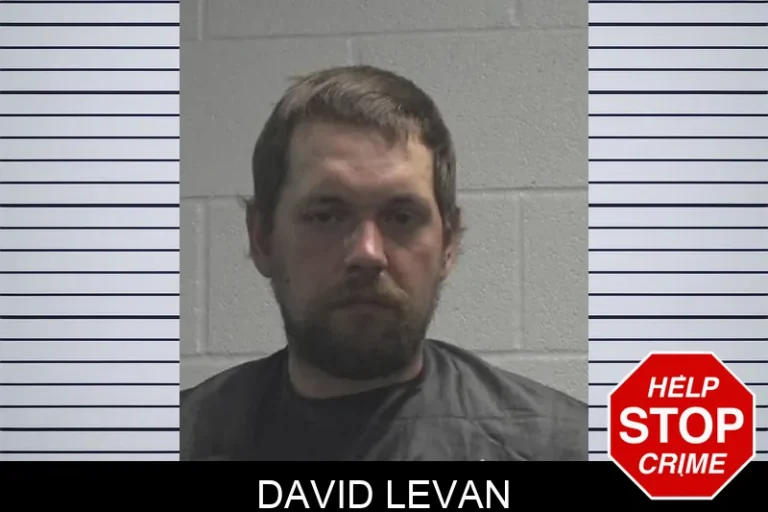 David Levan