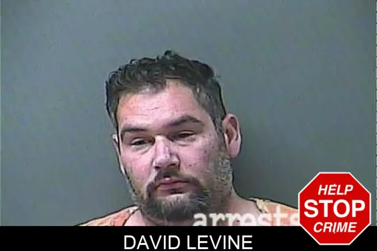 David Levine