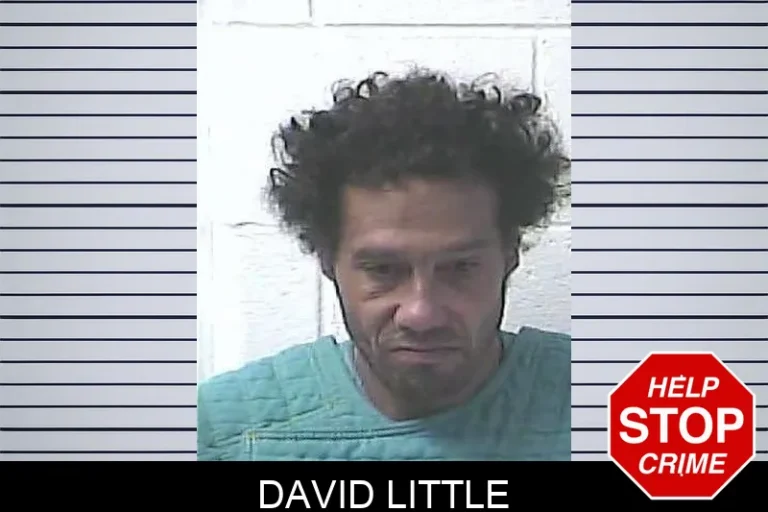 David Little