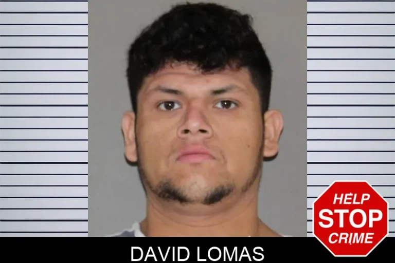 David Lomas