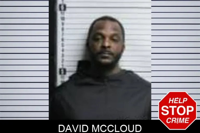 David McCloud