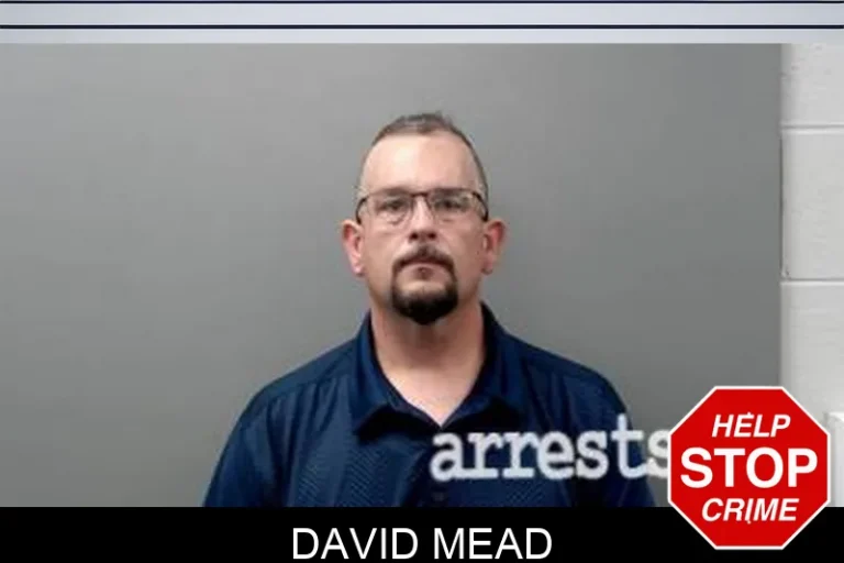 David Mead