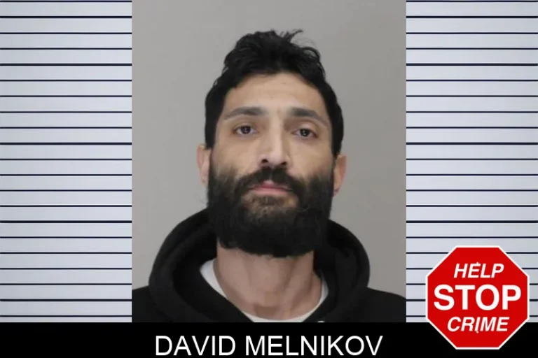 David Melnikov
