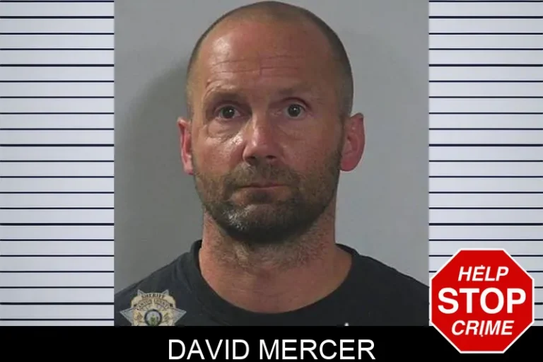 David Mercer