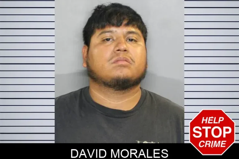 David Morales