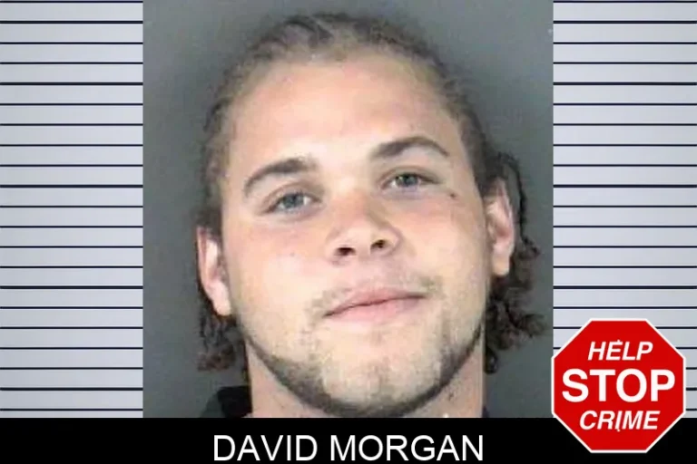 David Morgan