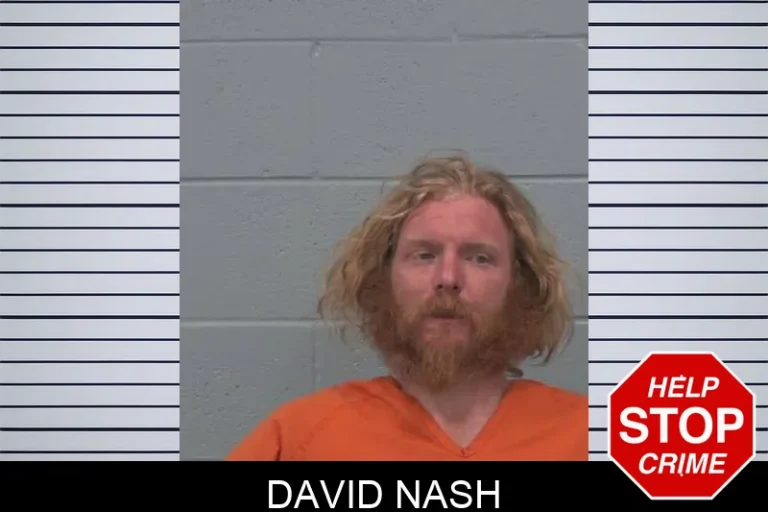 David Nash