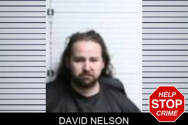 David Nelson