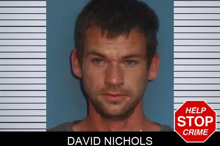 David Nichols