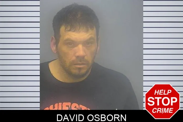 David Osborn