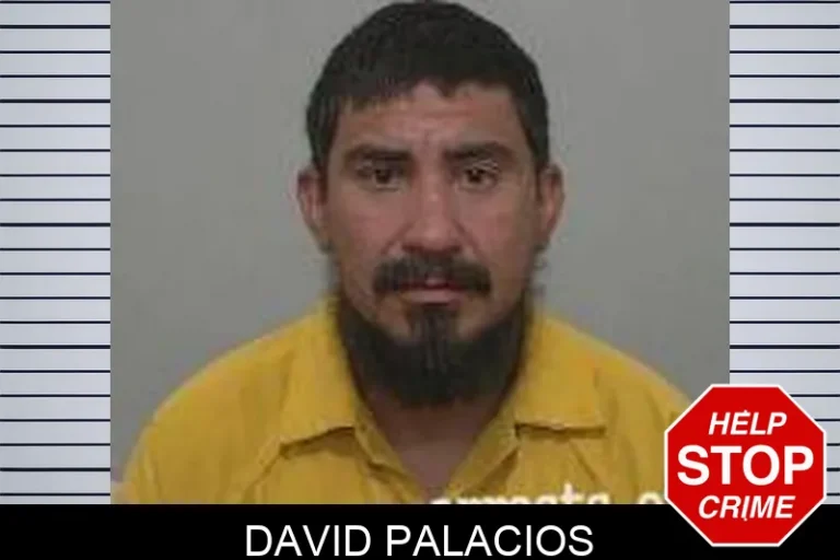 David Palacios