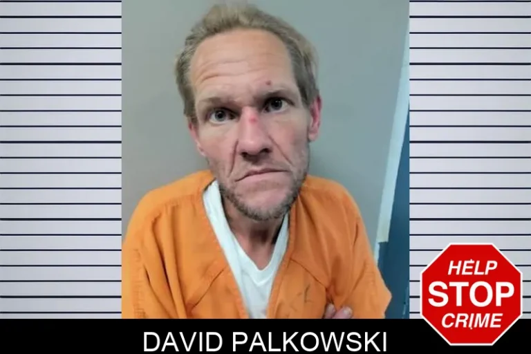 David Palkowski