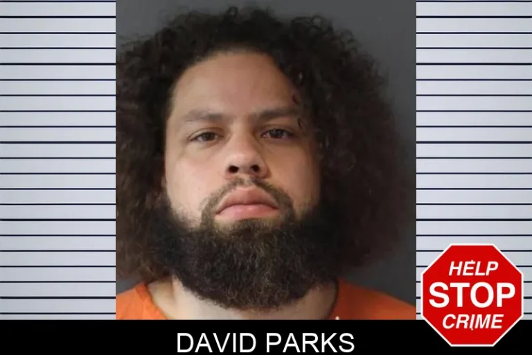 David Parks