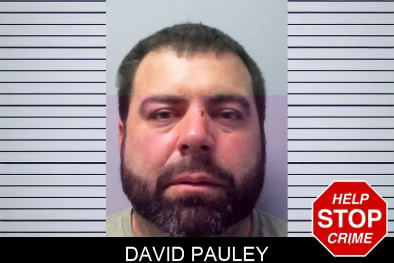 David Pauley