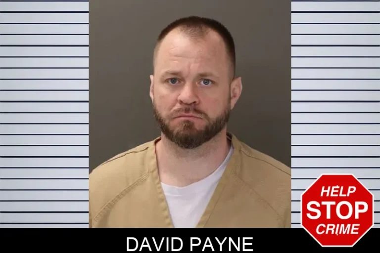 David Payne