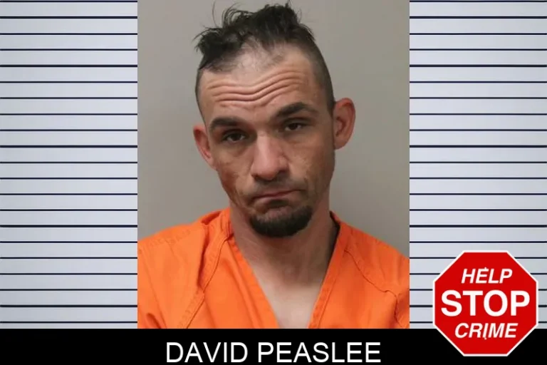 David Peaslee