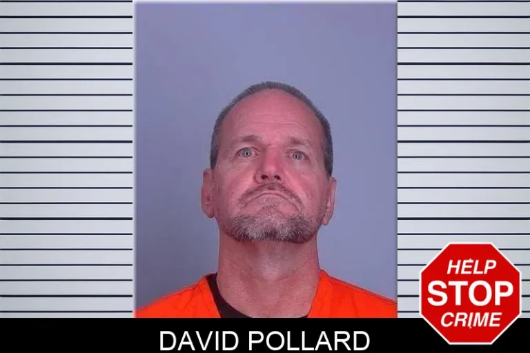 David Pollard