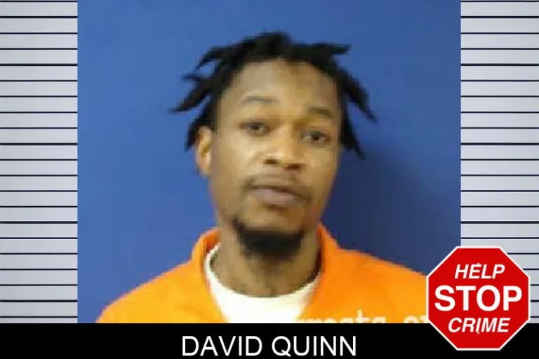 David Quinn