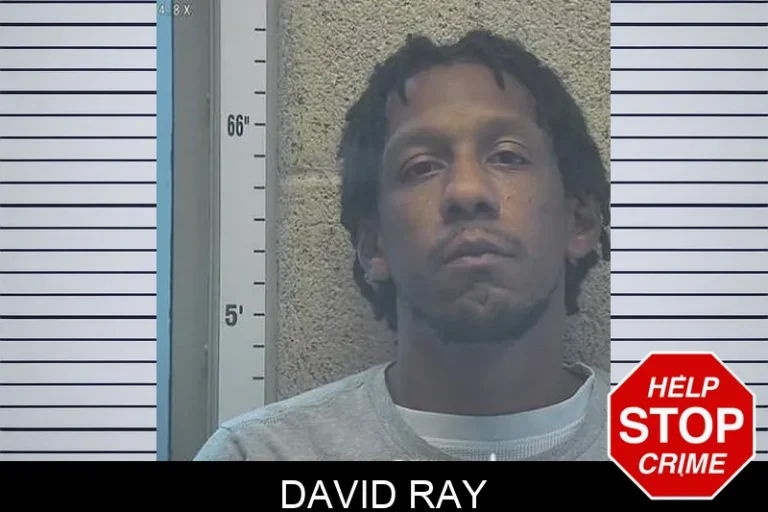 David Ray